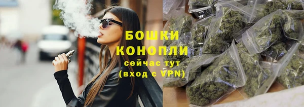 mdpv Богородицк