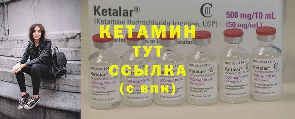 индика Бронницы