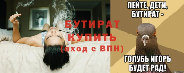 индика Бронницы