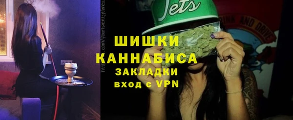 индика Бронницы