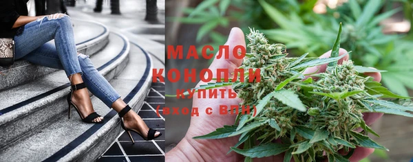 индика Бронницы