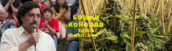 mdpv Богородицк