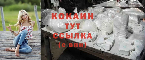 дживик Богданович