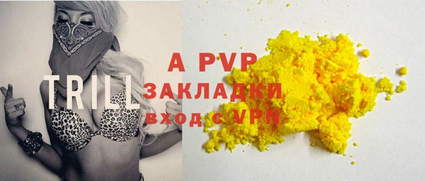 индика Бронницы