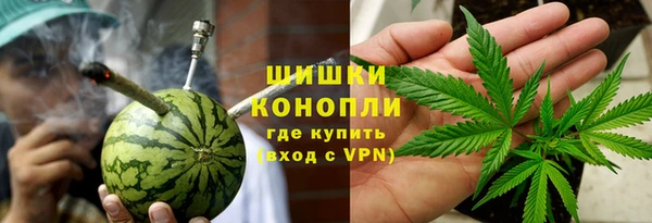 индика Бронницы